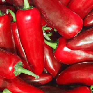 Red Hot Chili